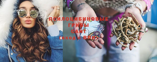 мяу мяу мука Алексеевка