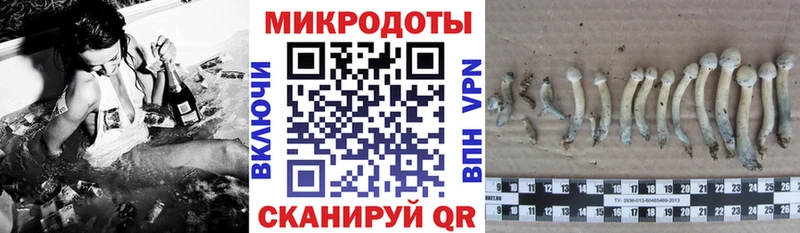 Галлюциногенные грибы MAGIC MUSHROOMS МЕГА маркетплейс Петровск-Забайкальский
